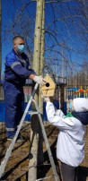 «Аллея добрых дел» «Аллея добрых дел».